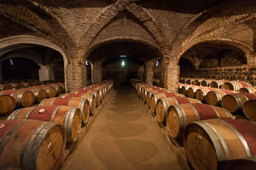 A historic cellar, Santa Rita Winery, Chile
