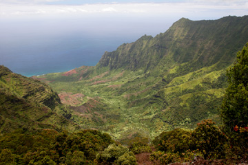 Na Pali Cliffs from Pu'u Kila lookout