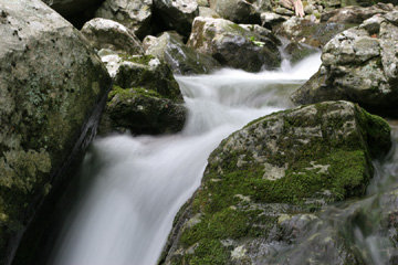 Cedar Run, Shendoah National Park
