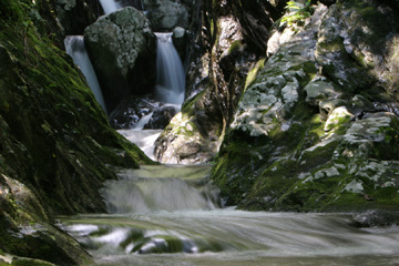 Cetar Run, Shenandoah National Park