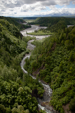 View from the train
