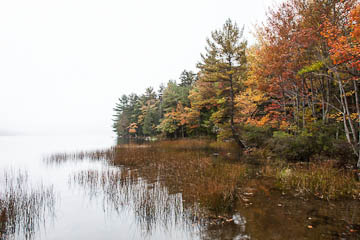 North shore of Eagle Lake, Acadia National Park, Maine
